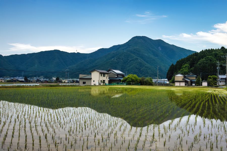 越前市の田園風景